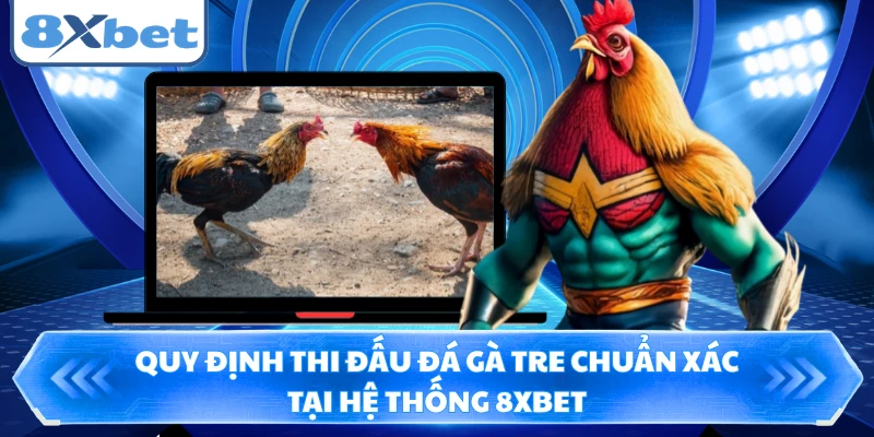 Quy định thi đấu đá gà tre chuẩn xác tại hệ thống 8XBET
